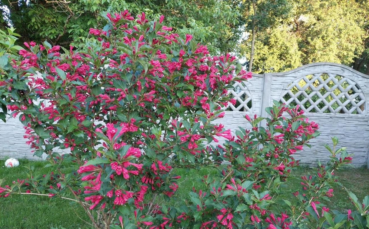 Magnolia Gospodarstwo Agroturystyczne Kazimierz Dolny Εξωτερικό φωτογραφία