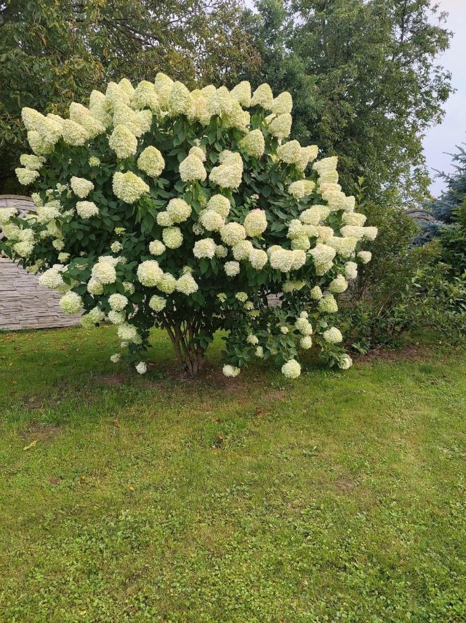 Magnolia Gospodarstwo Agroturystyczne Kazimierz Dolny Εξωτερικό φωτογραφία